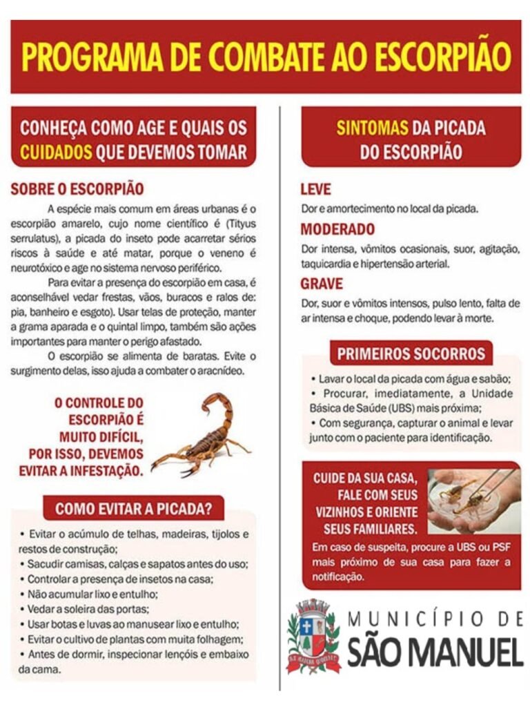 Cuidados devem ser redobrados com escorpião