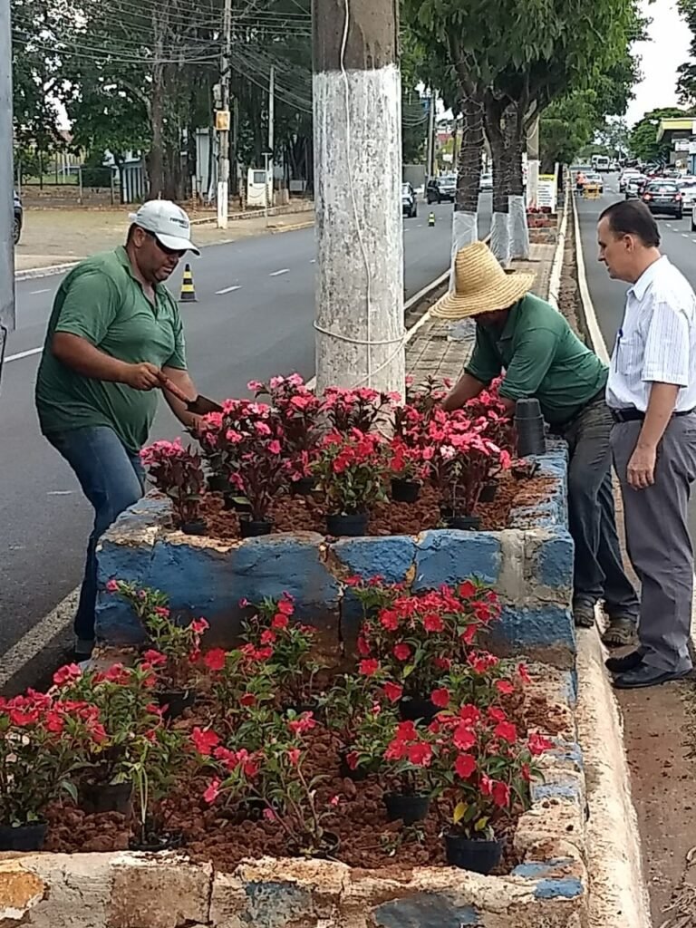 Avenida José Horácio Mellão é revitalizada