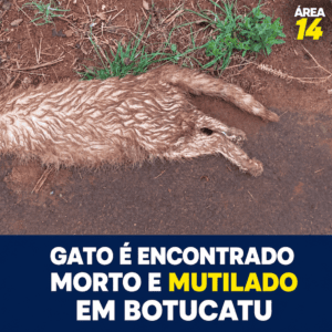 GATO É ENCONTRADO MORTO E MUTILADO NO OURO VERDE EM BOTUCATU E REVOLTA MORADORES
