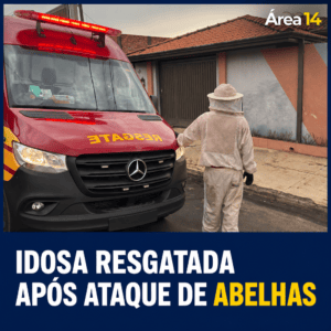 IDOSA É RESGATADA APÓS ATAQUE DE ABELHAS AFRICANIZADAS EM BOTUCATU