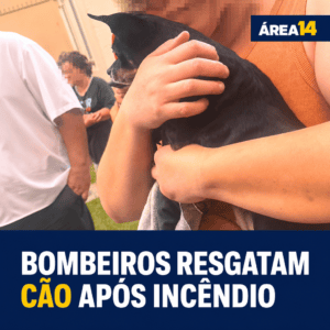 CÃO É RESGATADO POR BOMBEIROS DURANTE INCÊNDIO EM APARTAMENTO EM BOTUCATU