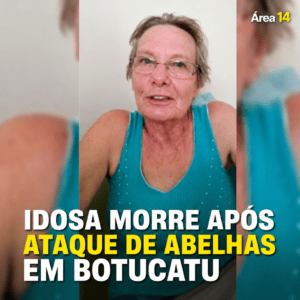 IDOSA DE 80 ANOS MORRE APÓS SER ATACADA POR ABELHAS EM HORTA DE CASA EM BOTUCATU
