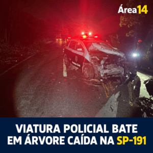 VIATURA DA POLÍCIA CIVIL BATE EM ÁRVORE QUE CAIU NA SP-191 EM BOTUCATU