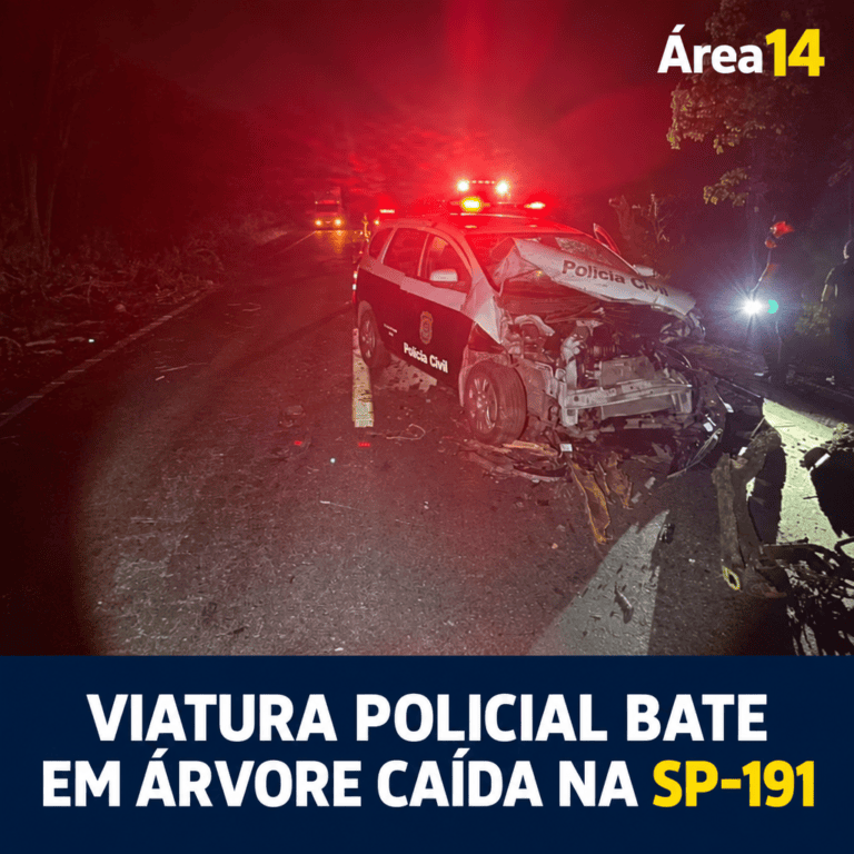 VIATURA DA POLÍCIA CIVIL BATE EM ÁRVORE QUE CAIU NA SP-191 EM BOTUCATU