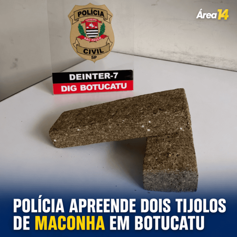 OPERAÇÃO EM ÁREA RURAL RESULTA NA APREENSÃO DE DOIS TIJOLOS DE MACONHA EM BOTUCATU
