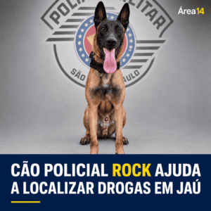 CÃO POLICIAL ROCK AJUDA A LOCALIZAR DROGAS E HOMEM É PRESO EM JAÚ