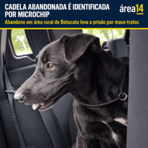 PRISÃO POR MAUS-TRATOS APÓS CADELA ABANDONADA SER IDENTIFICADA POR MICROCHIP EM BOTUCATU