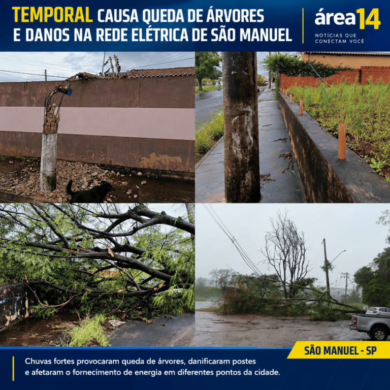 TEMPORAL CAUSA QUEDA DE ÁRVORES E DANOS NA REDE ELÉTRICA DE SÃO MANUEL