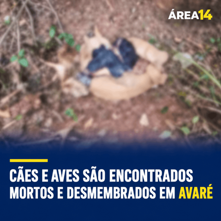 CÃES E AVES SÃO ENCONTRADOS MORTOS E DESMEMBRADOS EM SACOS EM AVARÉ