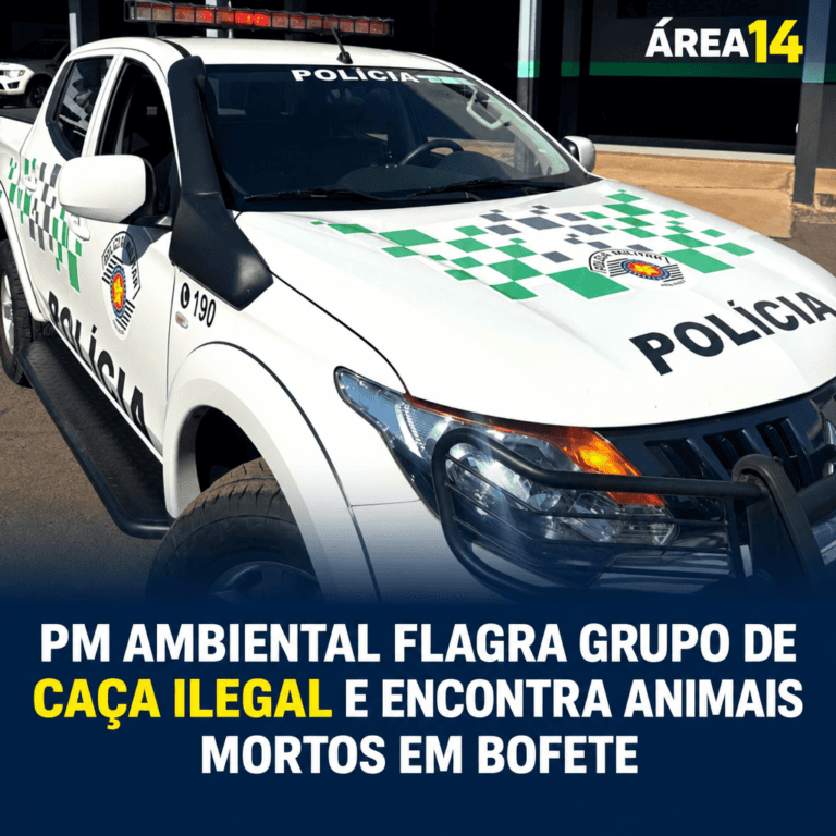 PM AMBIENTAL FLAGRA GRUPO DE CAÇA ILEGAL E ENCONTRA ANIMAIS MORTOS EM BOFETE