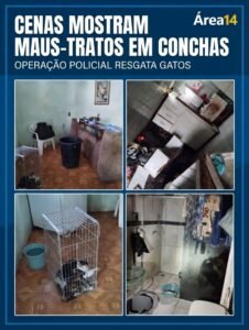 POLÍCIA RESGATA 12 GATOS EM SITUAÇÃO DE MAUS-TRATOS E INSALUBRIDADE EM CONCHAS